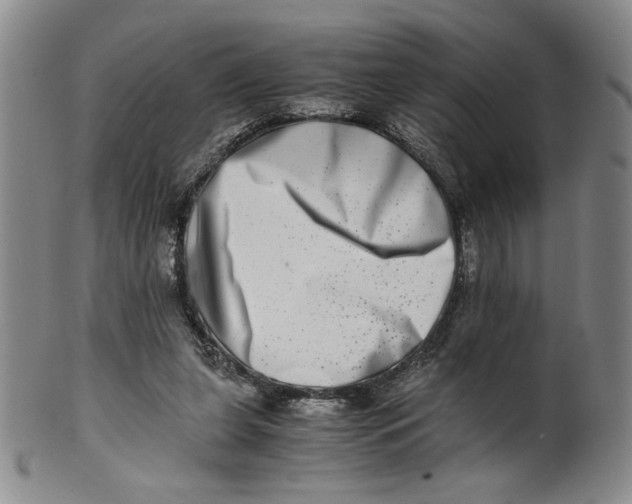 X0000100400255200806271427
