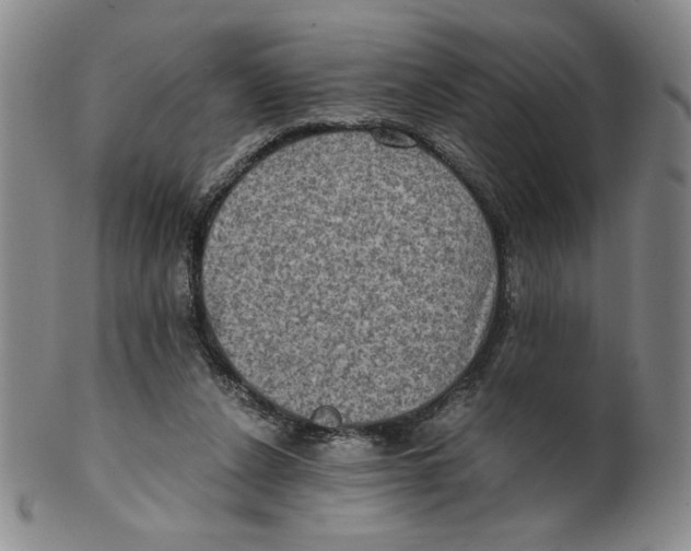 X0000100400256200806271427