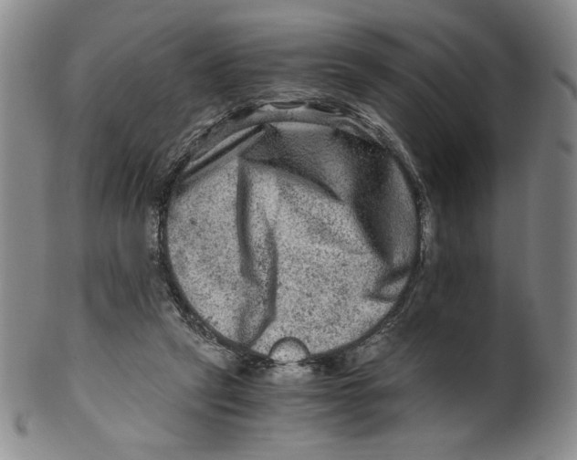 X0000100400257200806271427