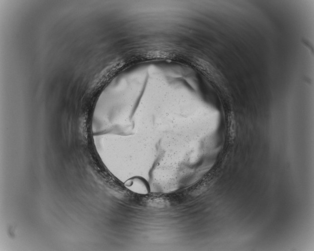 X0000100400258200806271427