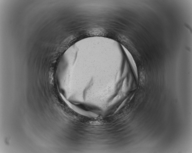 X0000100400259200806271427