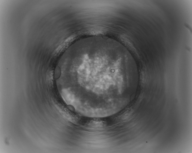 X0000100400260200806271427