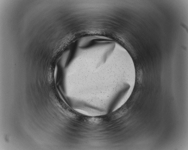 X0000100400261200806271427