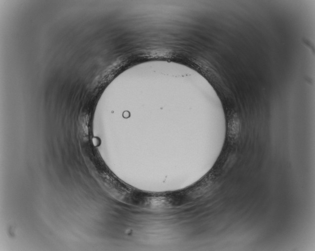 X0000100400264200806271427