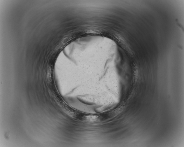 X0000100400265200806271427