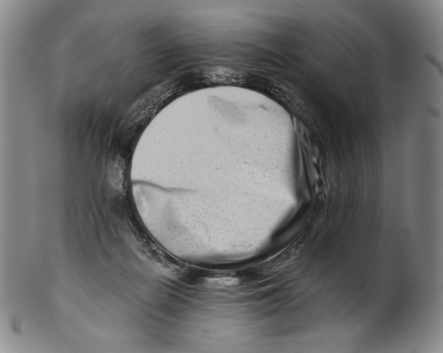 X0000100400266200806271427