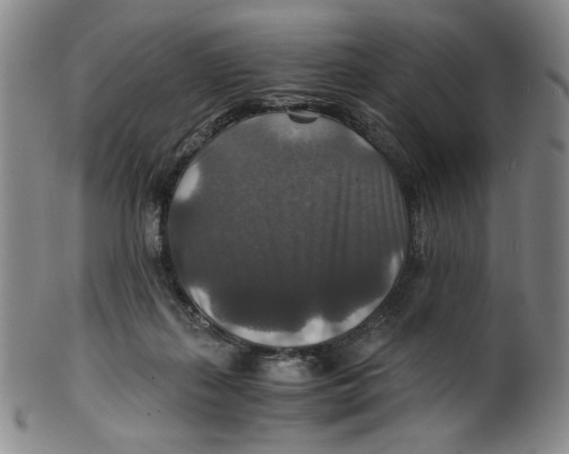 X0000100400267200806271427
