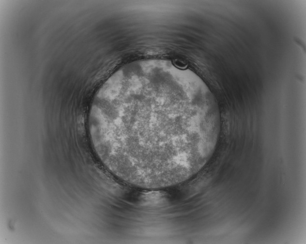 X0000100400269200806271427