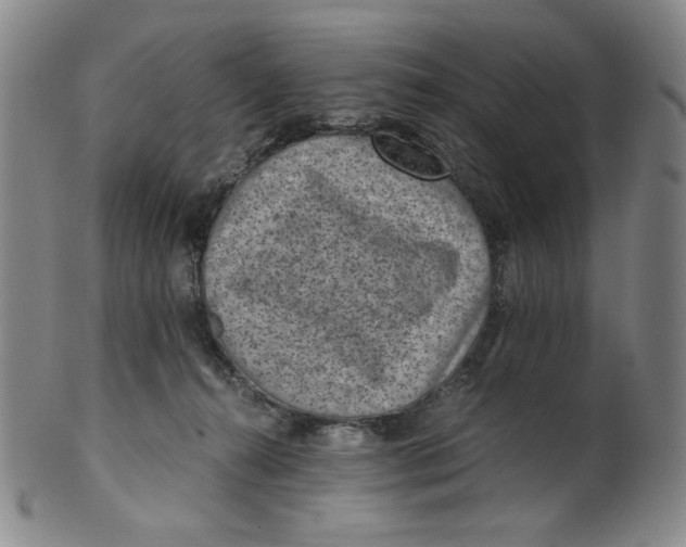 X0000100400272200806271427