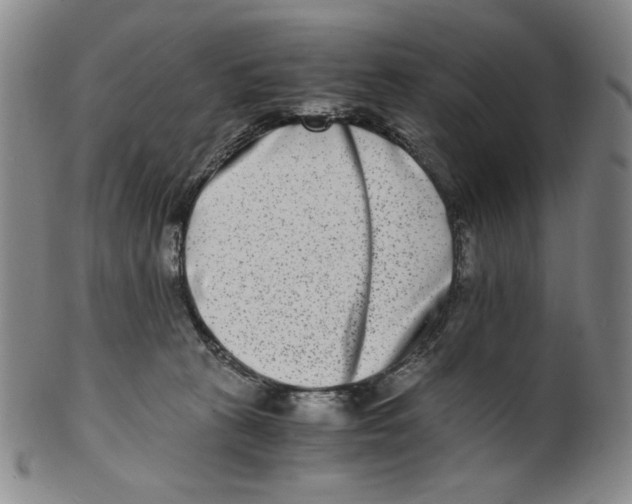 X0000100400273200806271427