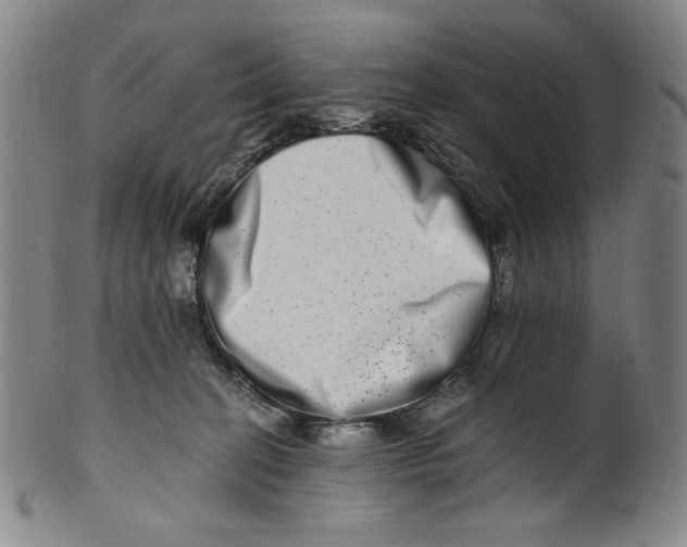 X0000100400274200806271427