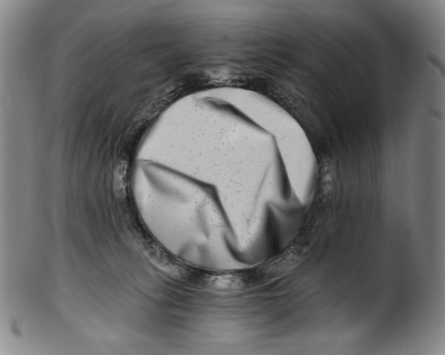 X0000100400275200806271427