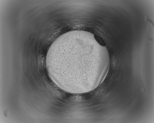 X0000100400276200806271427