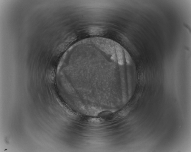 X0000100400277200806271427
