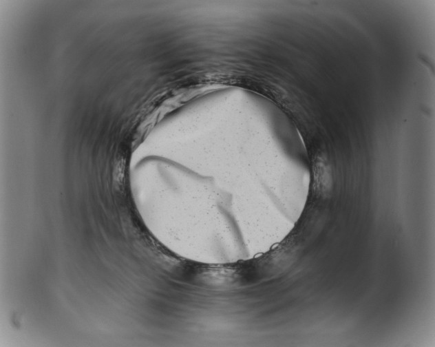 X0000100400278200806271427