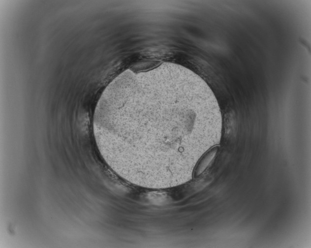 X0000100400279200806271427