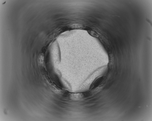 X0000100400281200806271427