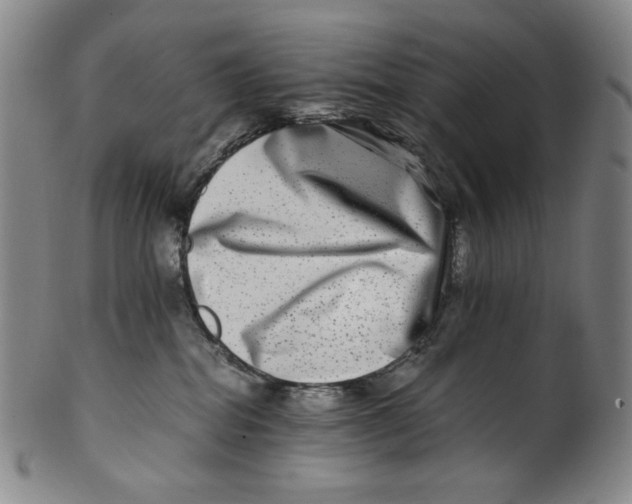 X0000100400282200806271427