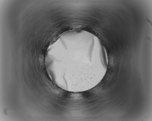 X0000100400283200806271427
