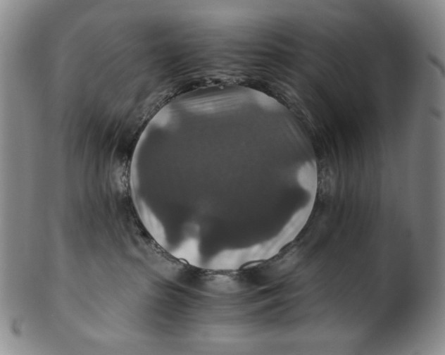 X0000100400285200806271427