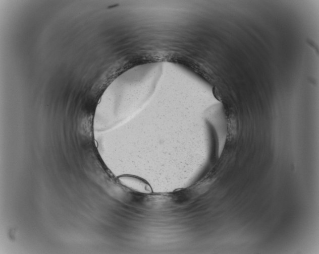 X0000100400286200806271427