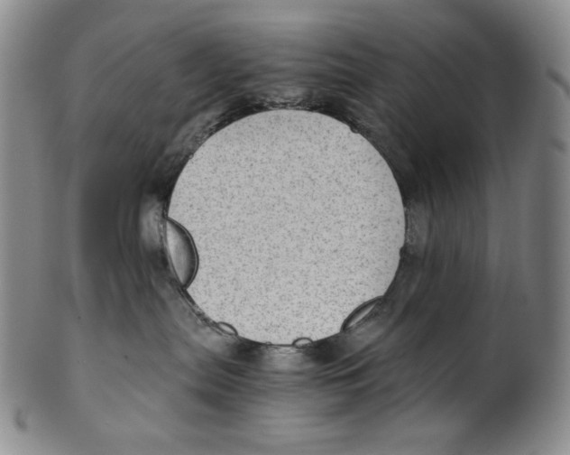 X0000100400287200806271427