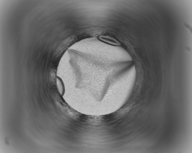 X0000100400288200806271427
