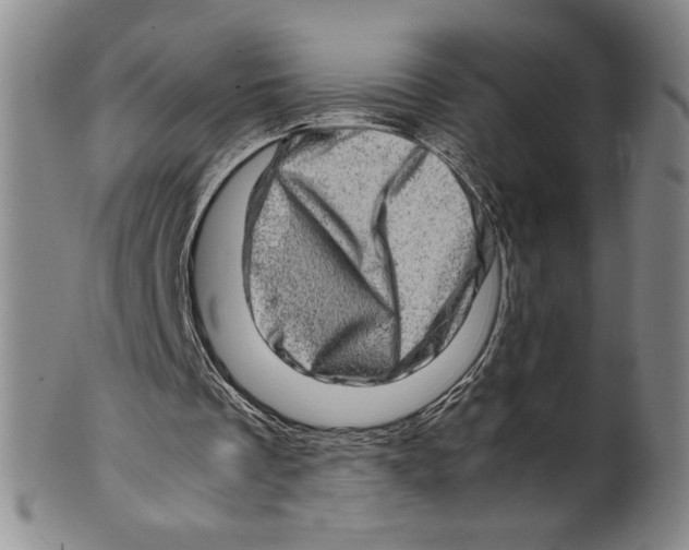 X0000100400289200806271427