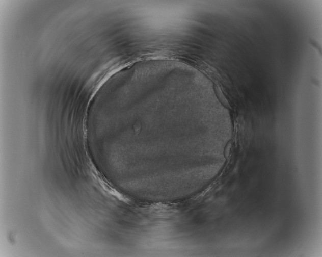 X0000100400290200806271427