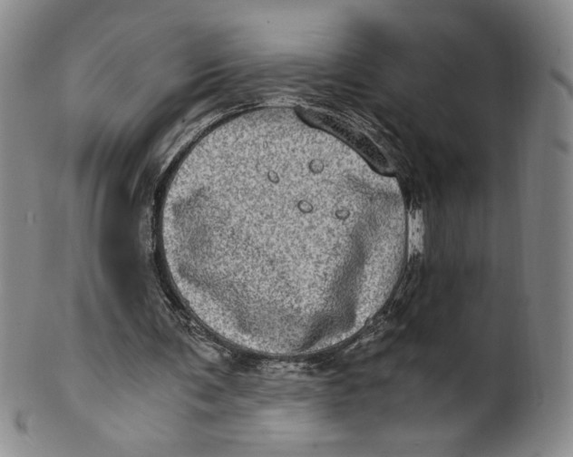 X0000100400291200806271427