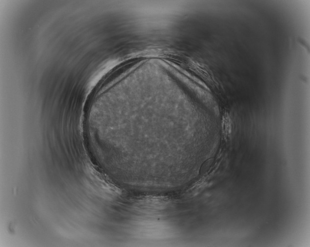 X0000100400292200806271427