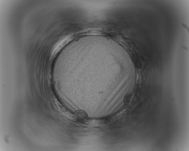 X0000100400293200806271427
