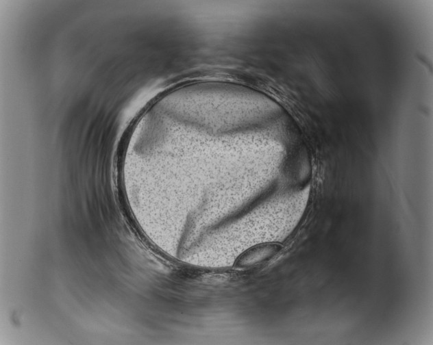 X0000100400294200806271427