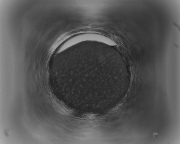 X0000100400295200806271427