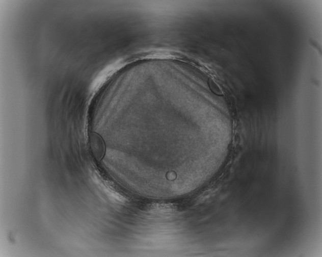 X0000100400296200806271427