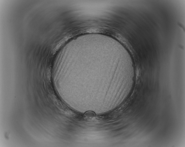 X0000100400297200806271427
