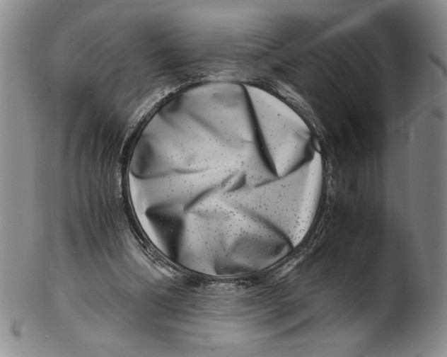 X0000100400298200806271427