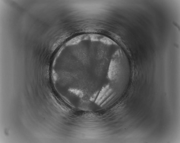 X0000100400299200806271427
