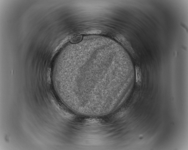X0000100400300200806271427