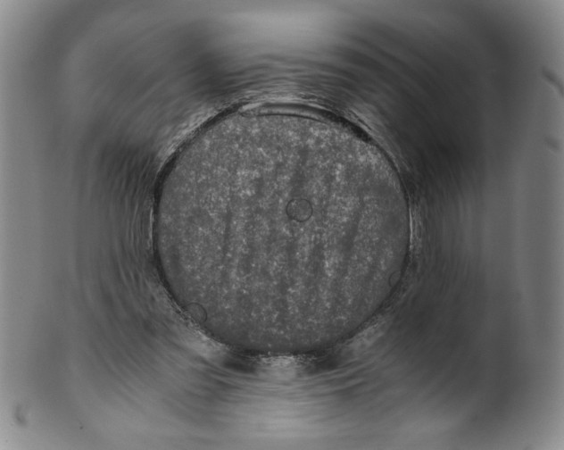 X0000100400301200806271427