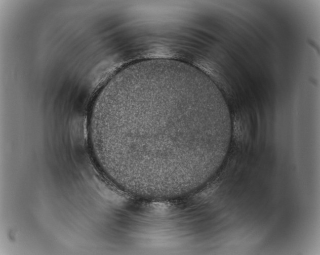 X0000100400302200806271427