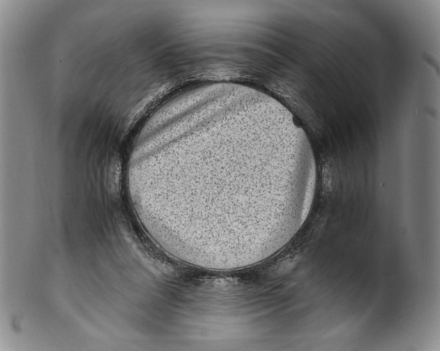 X0000100400304200806271427