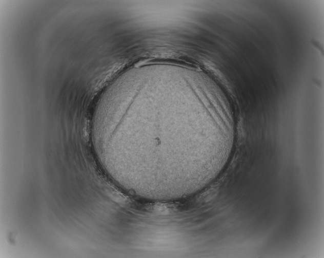 X0000100400305200806271427