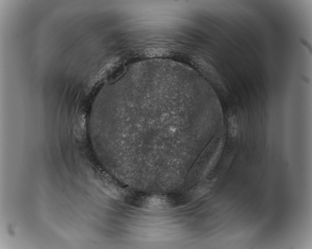 X0000100400308200806271427