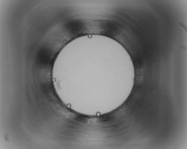 X0000100400309200806271426