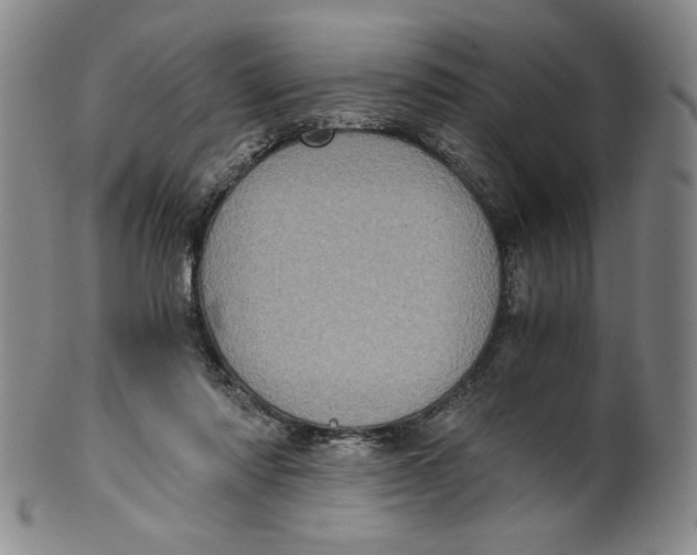 X0000100400310200806271426