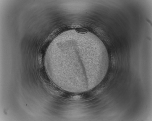 X0000100400312200806271426