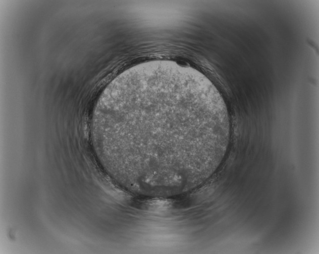 X0000100400313200806271426