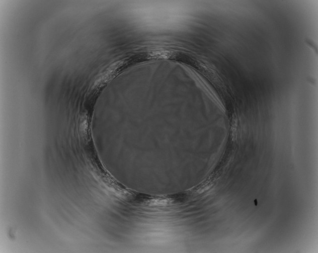 X0000100400314200806271426