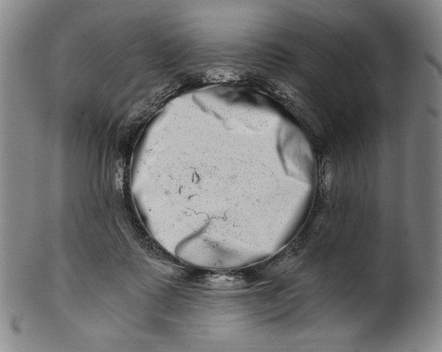 X0000100400315200806271426